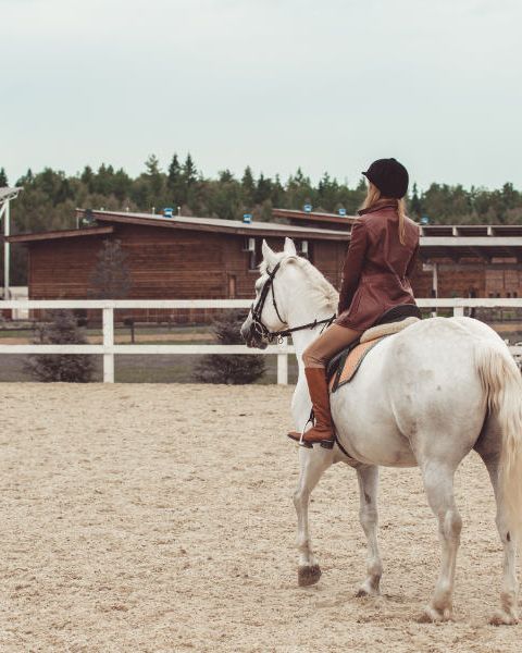 texte alternatif a remplacer