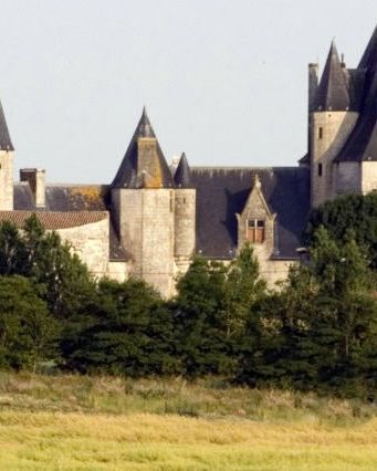 texte alternatif a remplacer